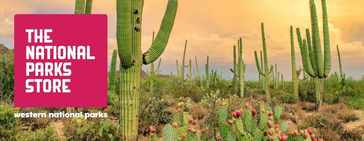 Author Talk & Book Signing | “Lieutenants and Light” with Robert E. C. Davis